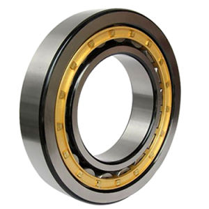 RNU Series bearing